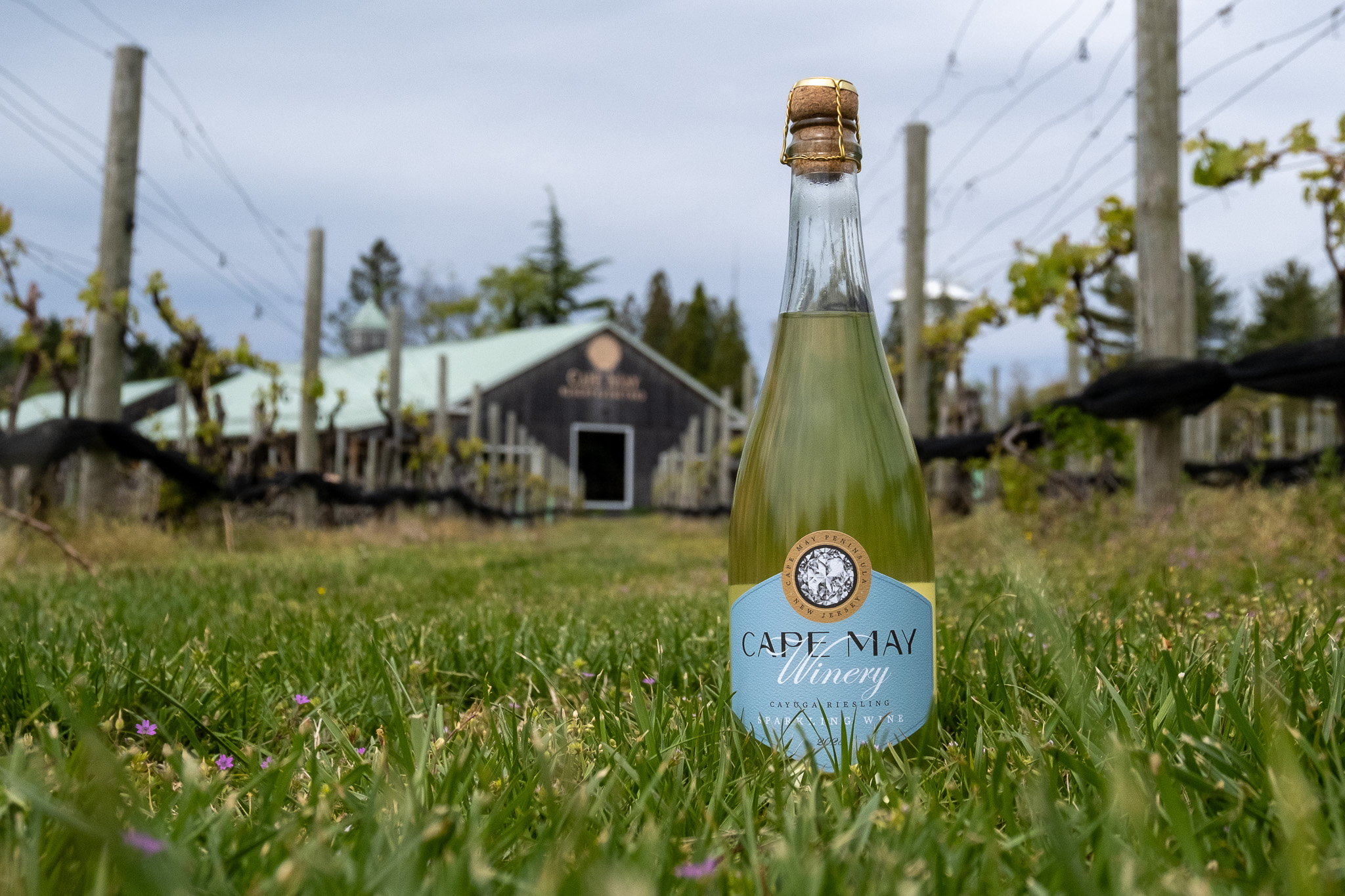 2025 Estate Sparkling Cayuga Riesling